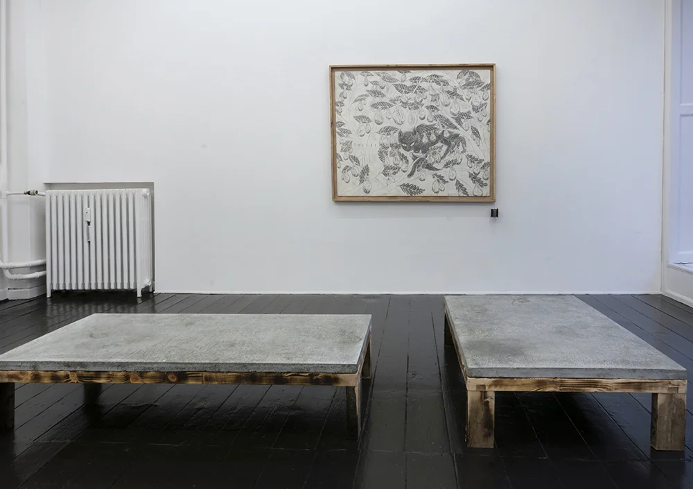 Silas Inoue, owΔηiʍa station. Installation view, Marie Kirkegaard Gallery.