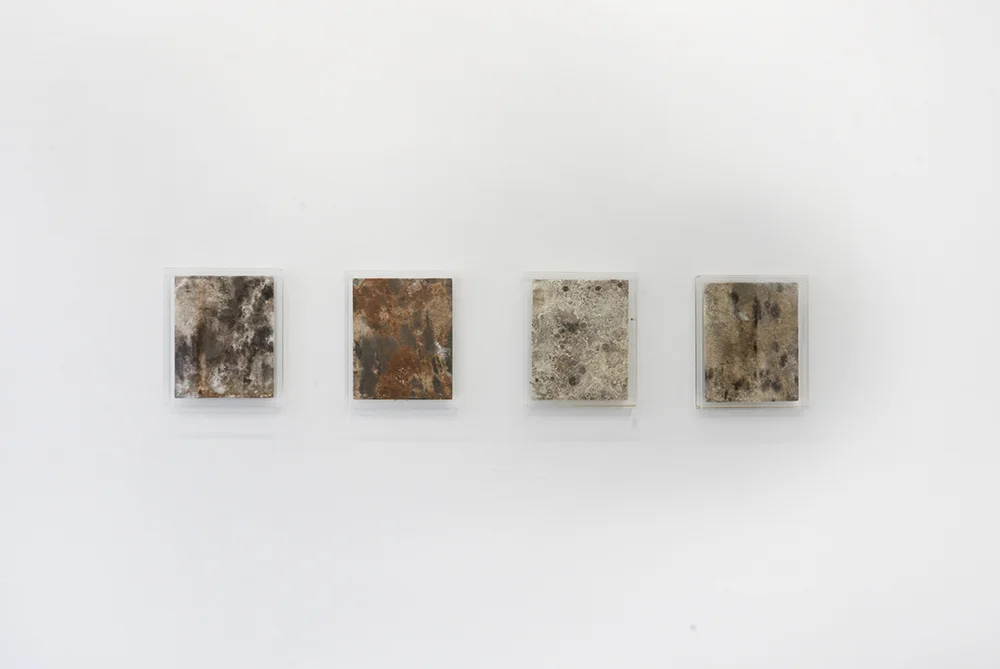 Silas Inoue, owΔηiʍa station. Installation view, Marie Kirkegaard Gallery.