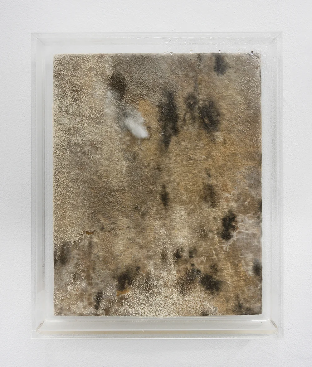 Silas Inoue, owΔηiʍa station. Marie Kirkegaard Gallery.