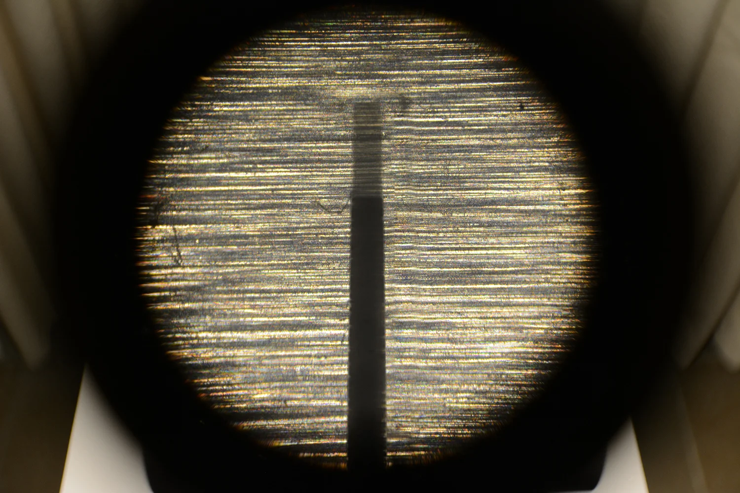 Michael Würtz Overbeck “Transience of time” (detail through microscope), 2019. Foto: Michael Wurtz Overbeck.