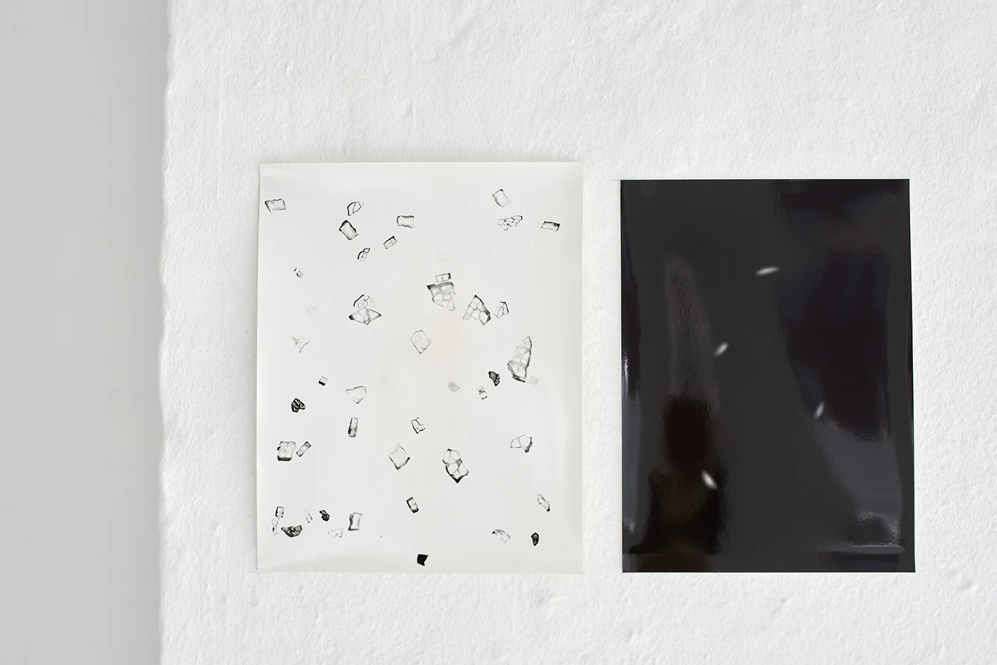 Kah Bee Chow âUden titel,â 2019 (photogram). Foto: Kirstine Mengel.