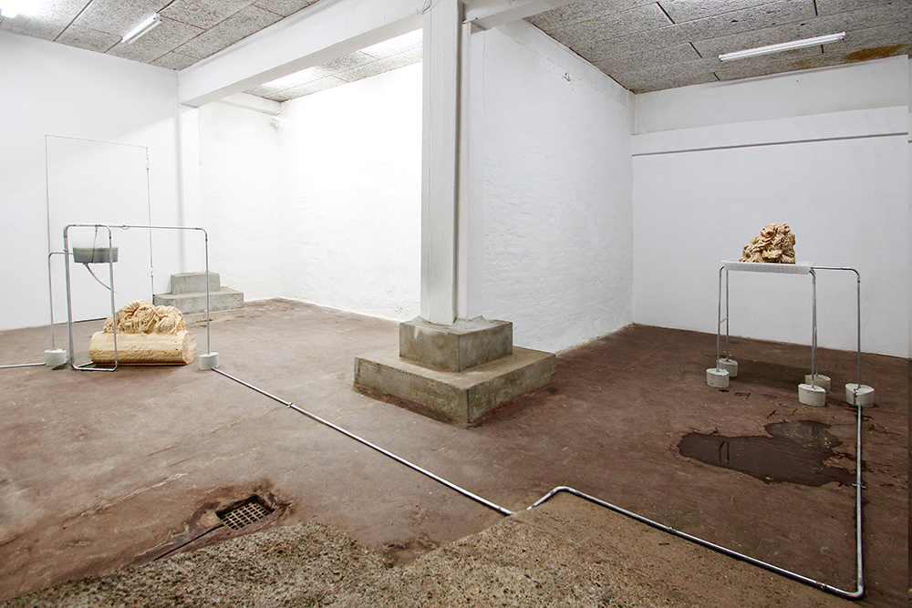 Nina Nowak: 'Circadian Rhythms', 2019. Installation view. Photo: Nina Nowak.