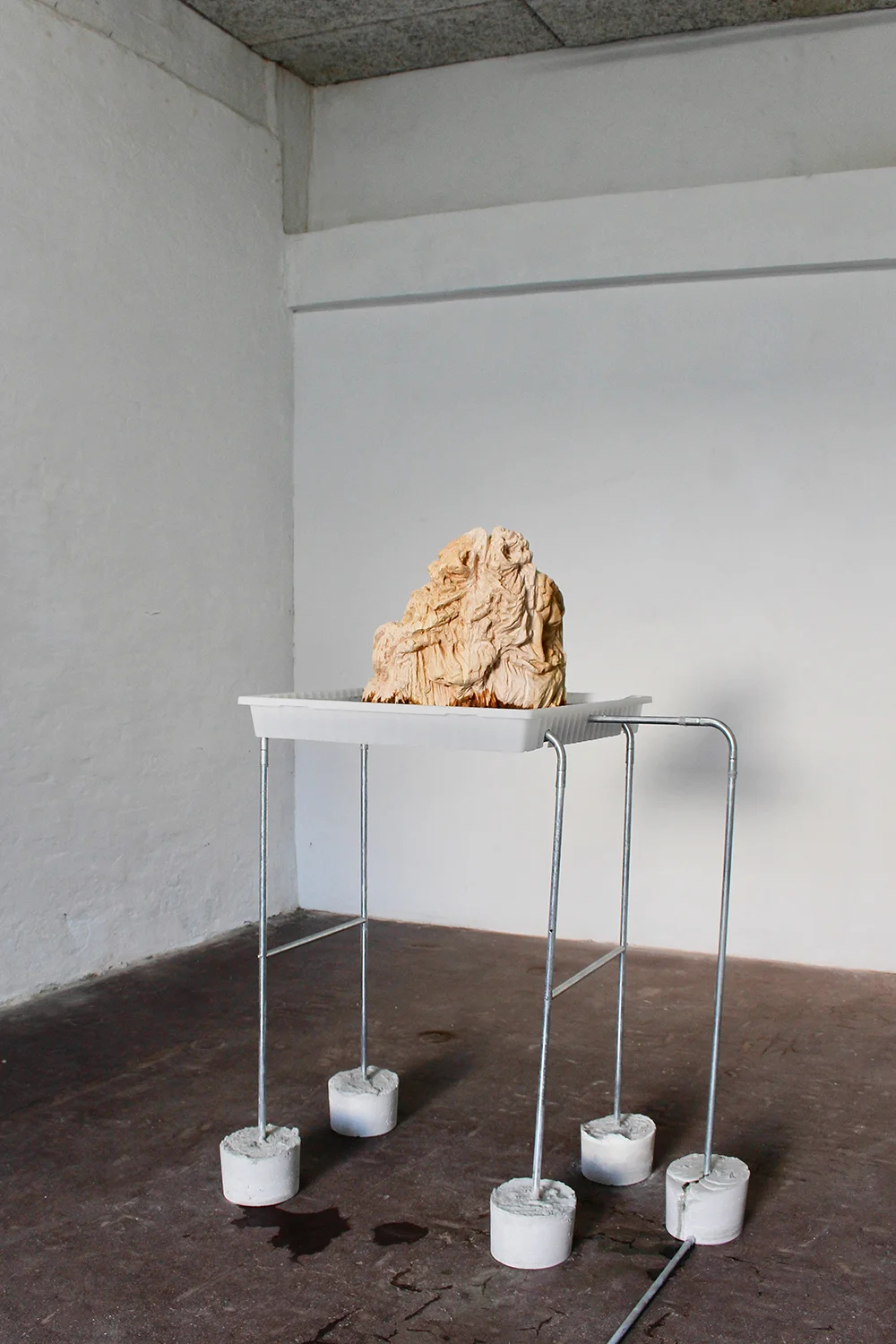Nina Nowak: 'Circadian Rhythms', 2019. Installation view. Photo: Nina Nowak.