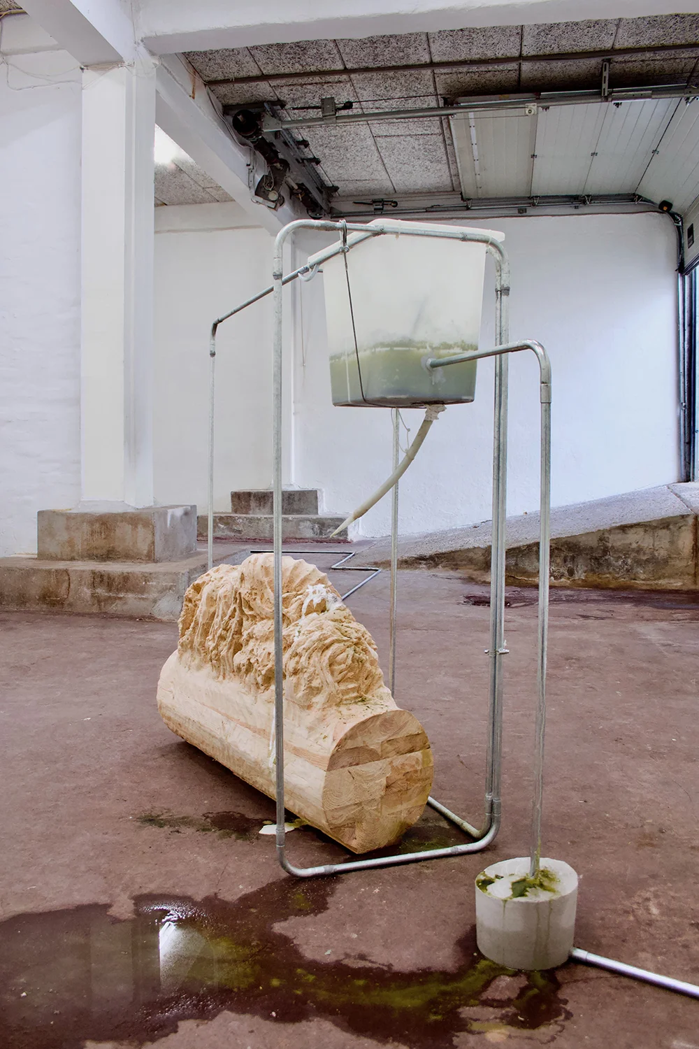 Nina Nowak: 'Circadian Rhythms', 2019. Installation view. Photo: Nina Nowak.