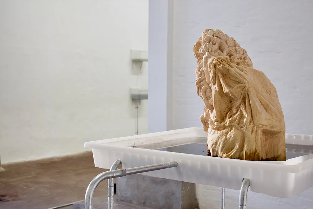 Nina Nowak: 'Circadian Rhythms', 2019. Installation view. Photo: Nina Nowak.
