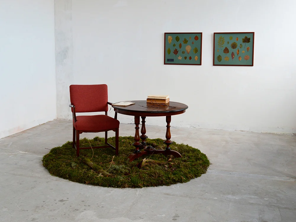Raunkiærs cirkel, 2019. Foto: Kamilla Jørgensen.