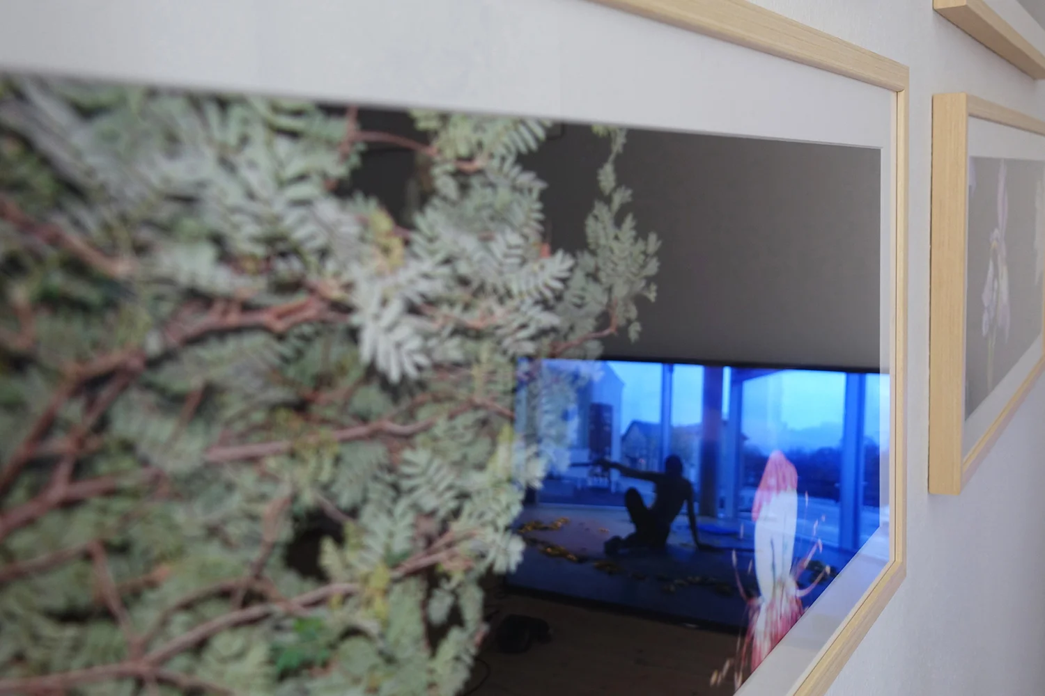 “Thrills“ (installation view). Foto: Rikke Ehlers Nilsson.