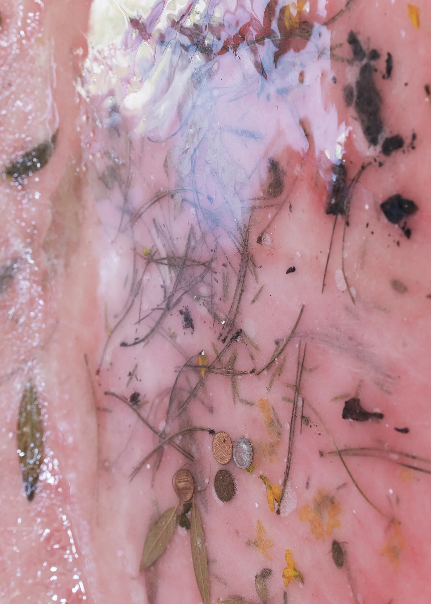 Cecilie Skov “Våd af dug,” 2019 (Epoxy-resin, glasfiber, plastik pose, blade, blomster, sugerør, salt, sukker, fennikel frø, sølvpapir, tape, voks, mønter, pigment. Ø: 130 cm). Foto: Karl Isaksen.