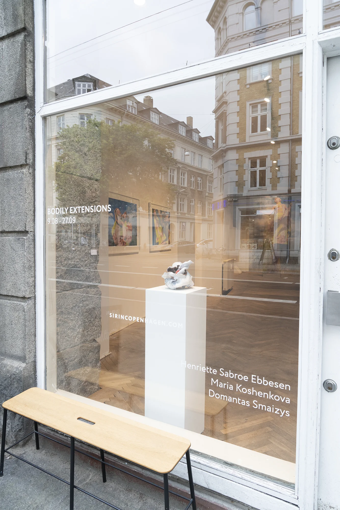 Henriette Sabroe Ebbesen, Domantas Smaizys & Maria Koshenkova “Bodily Extensions“ (installation view). Photo: SIRIN Gallery.