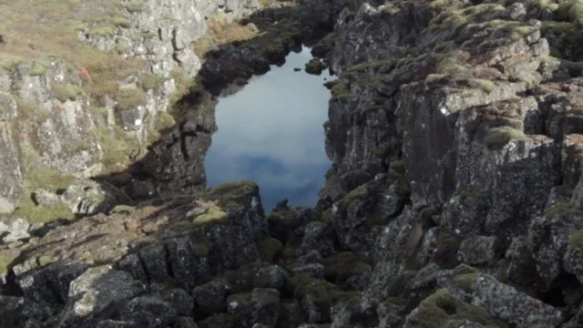 Veronika Geiger “Field Work“ (still).