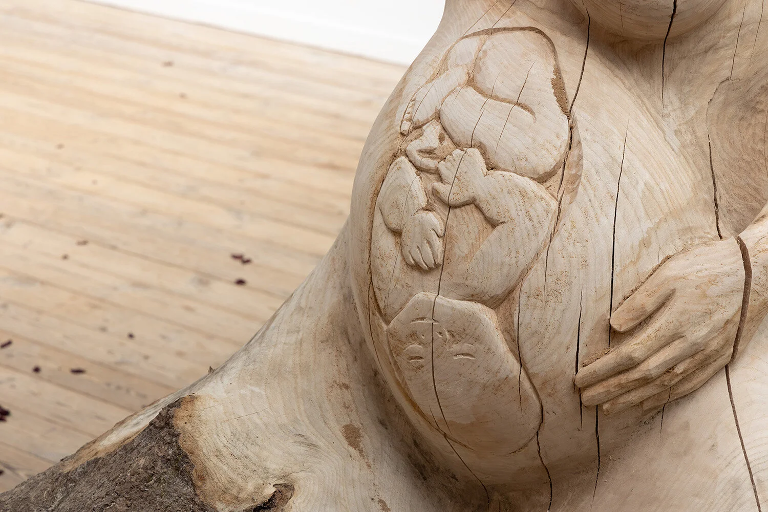 Ditte Gantriis, Circle of Life (2018). Installation view, Kunsthal Aarhus. Foto: Mikkel Kaldal.