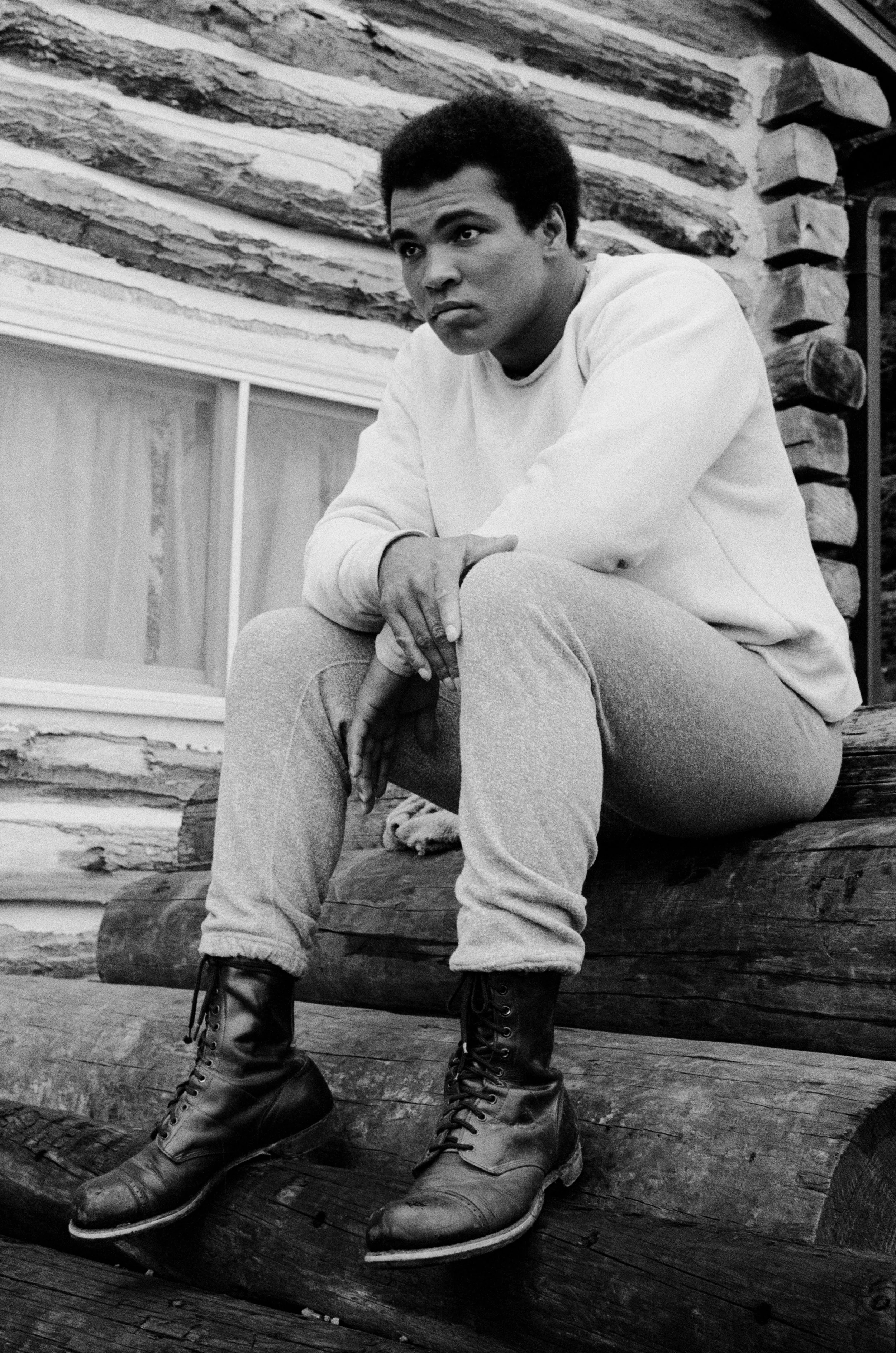 Sitting on Logs