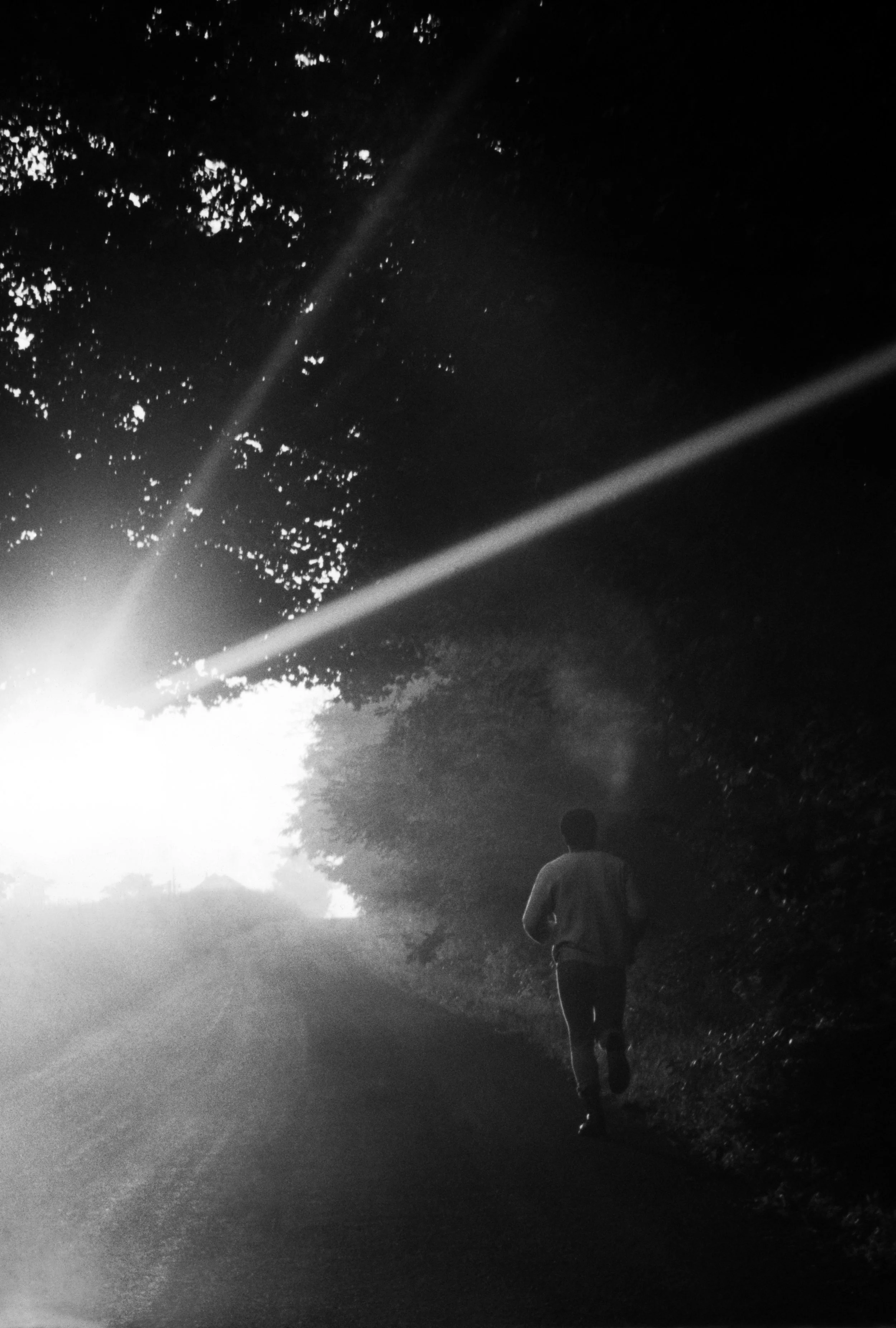 Dawn Run