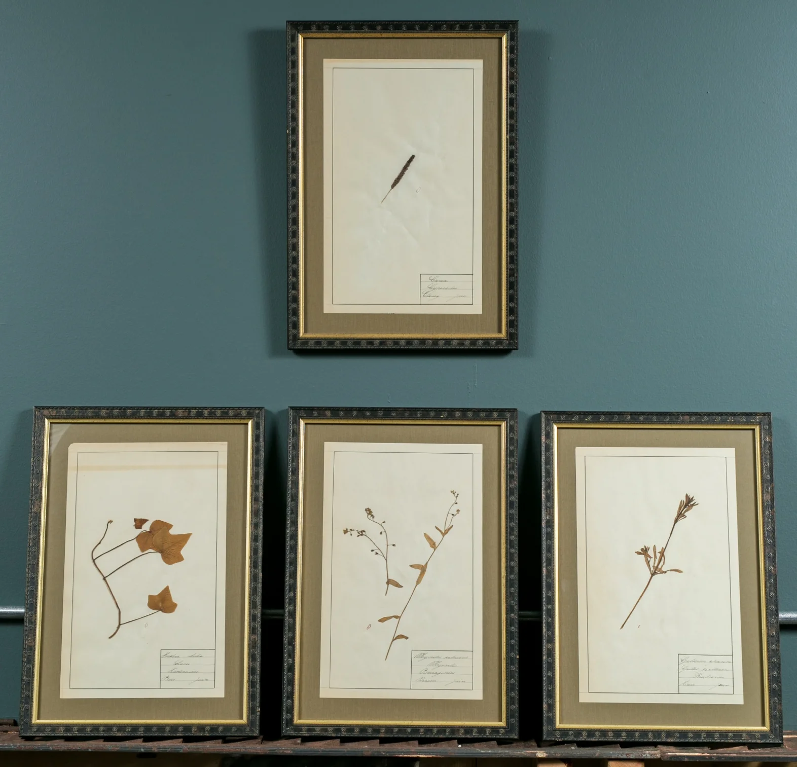 Set of 4