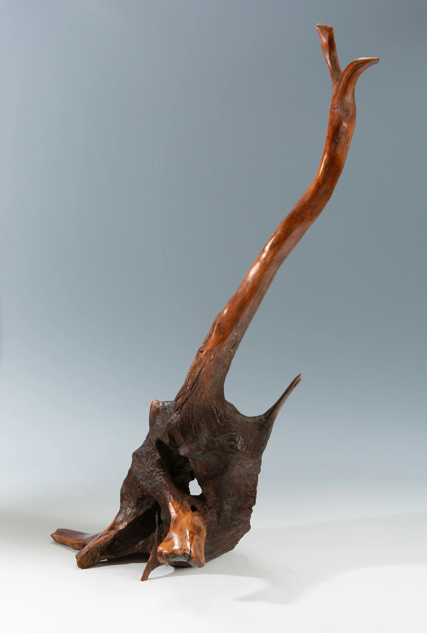 root_0391.jpg