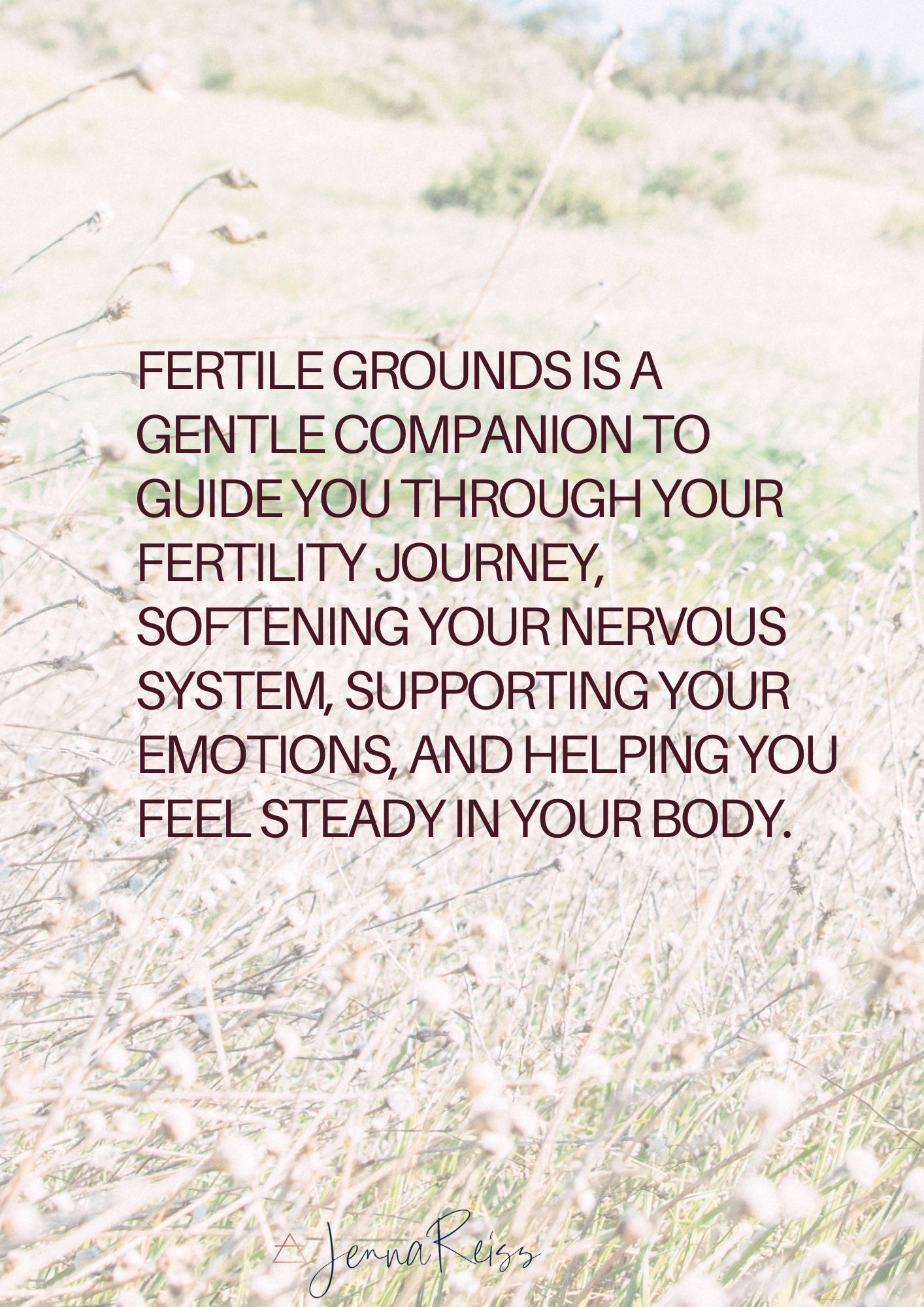 Fertile Grounds Shop Photos.png