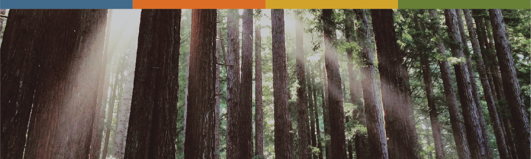 Northern California Chapter President: Melinda Stewart OnSite Exhibitor Service 707.258.8980 (Office) 415.710.9254 (Cell/Text) melinda@exhibitorservice.com