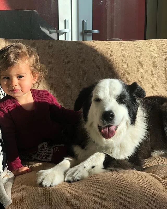 They&rsquo;re ok social distancing from everyone else, but these two need each other 👼🏽🐶