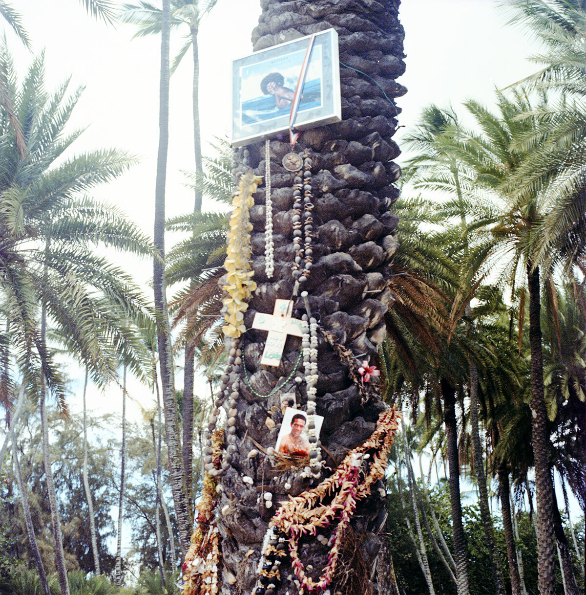 sj_199_hawaii_surfers006-2 (dragged)_edit_.jpg