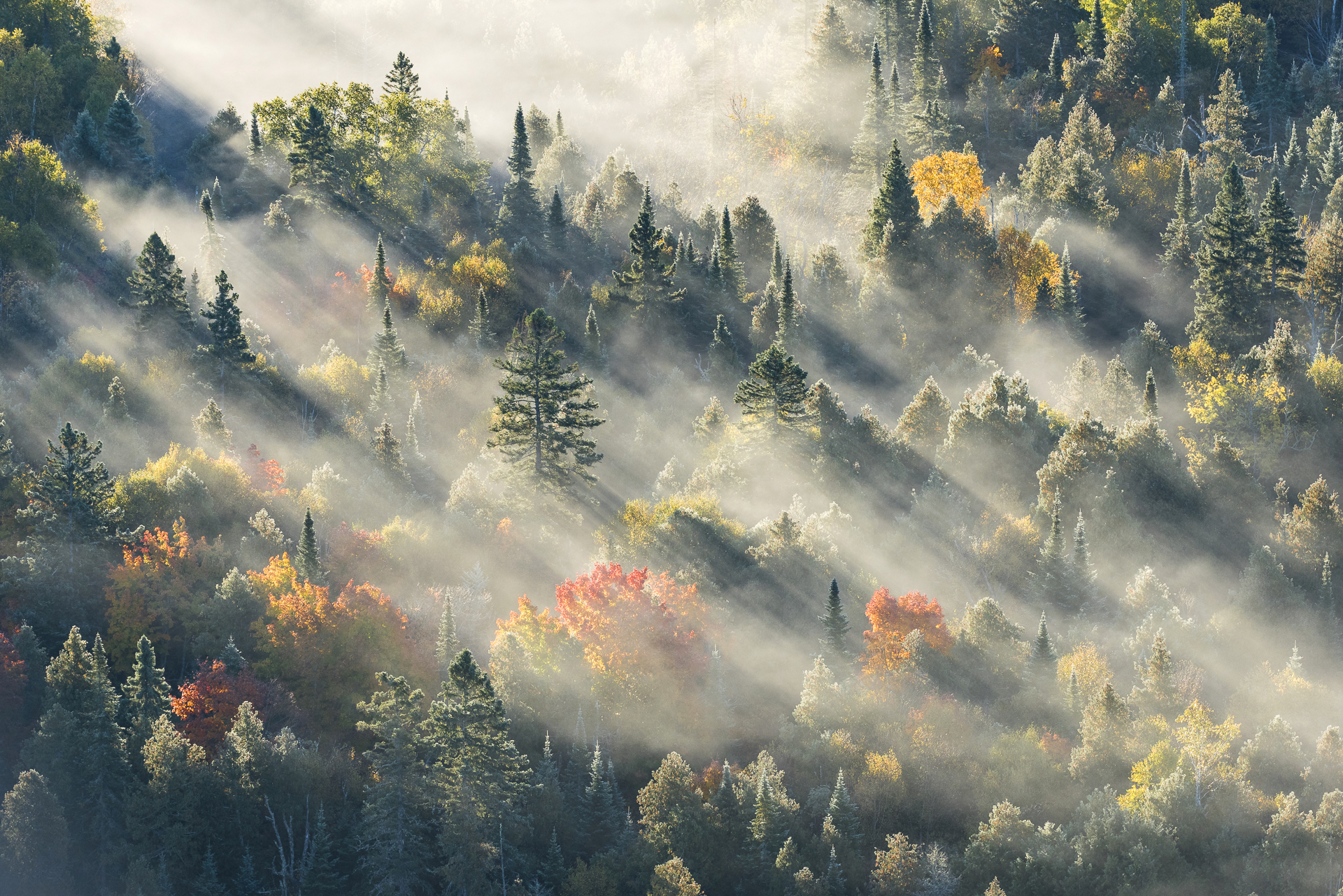 Foggy sunrise: Grand Portage State Forest