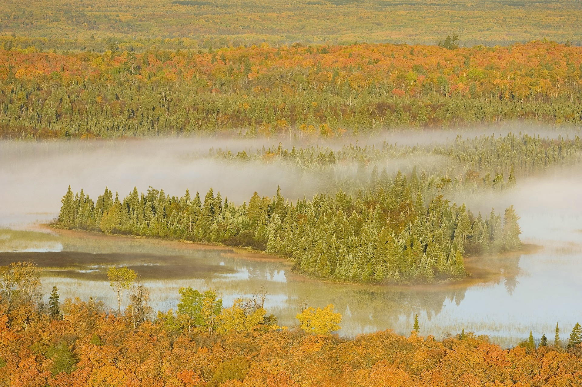 Spruce bog surrounded by maple ridges. Cook County.