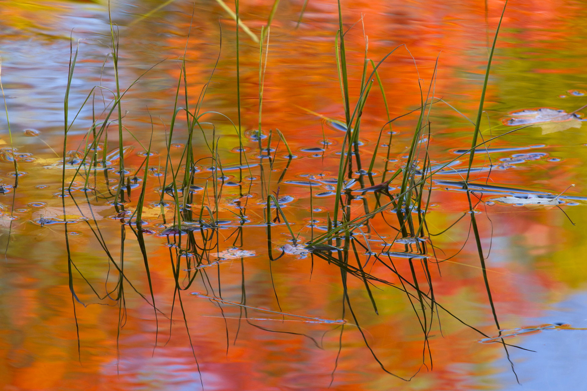 Turtle Lake Reflections