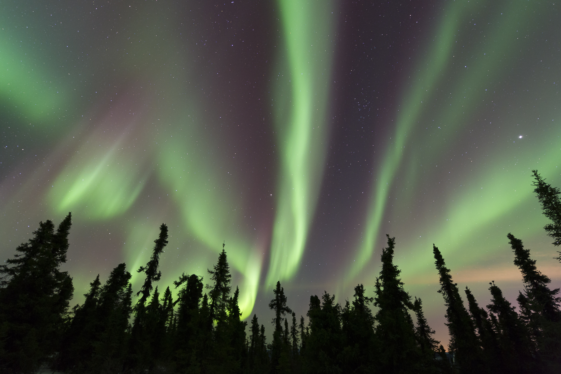 Aurora borealis: north of Fairbanks, AK. 11:52 PM