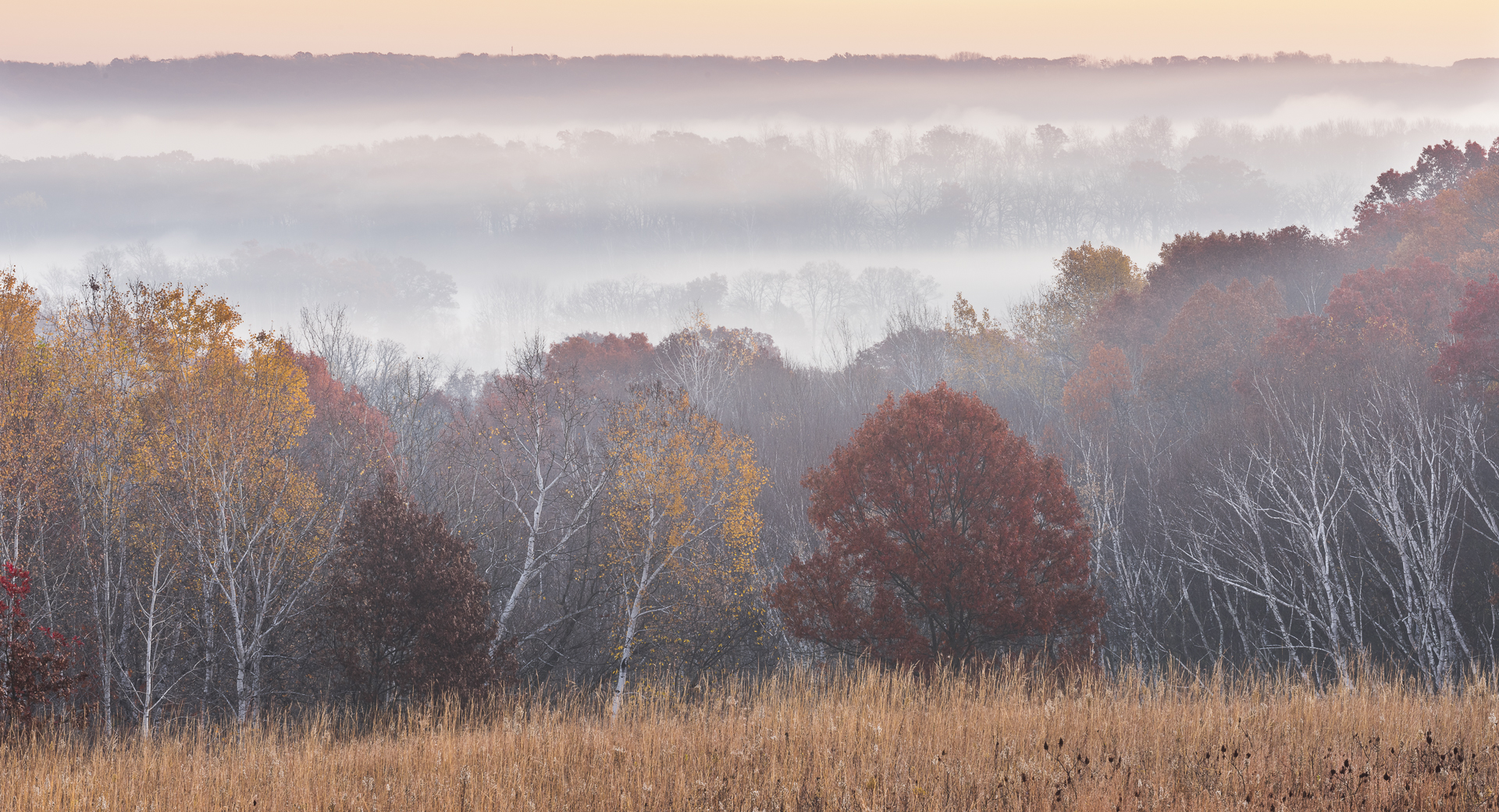 Morning fog shrouds the St. Croix river valley 
