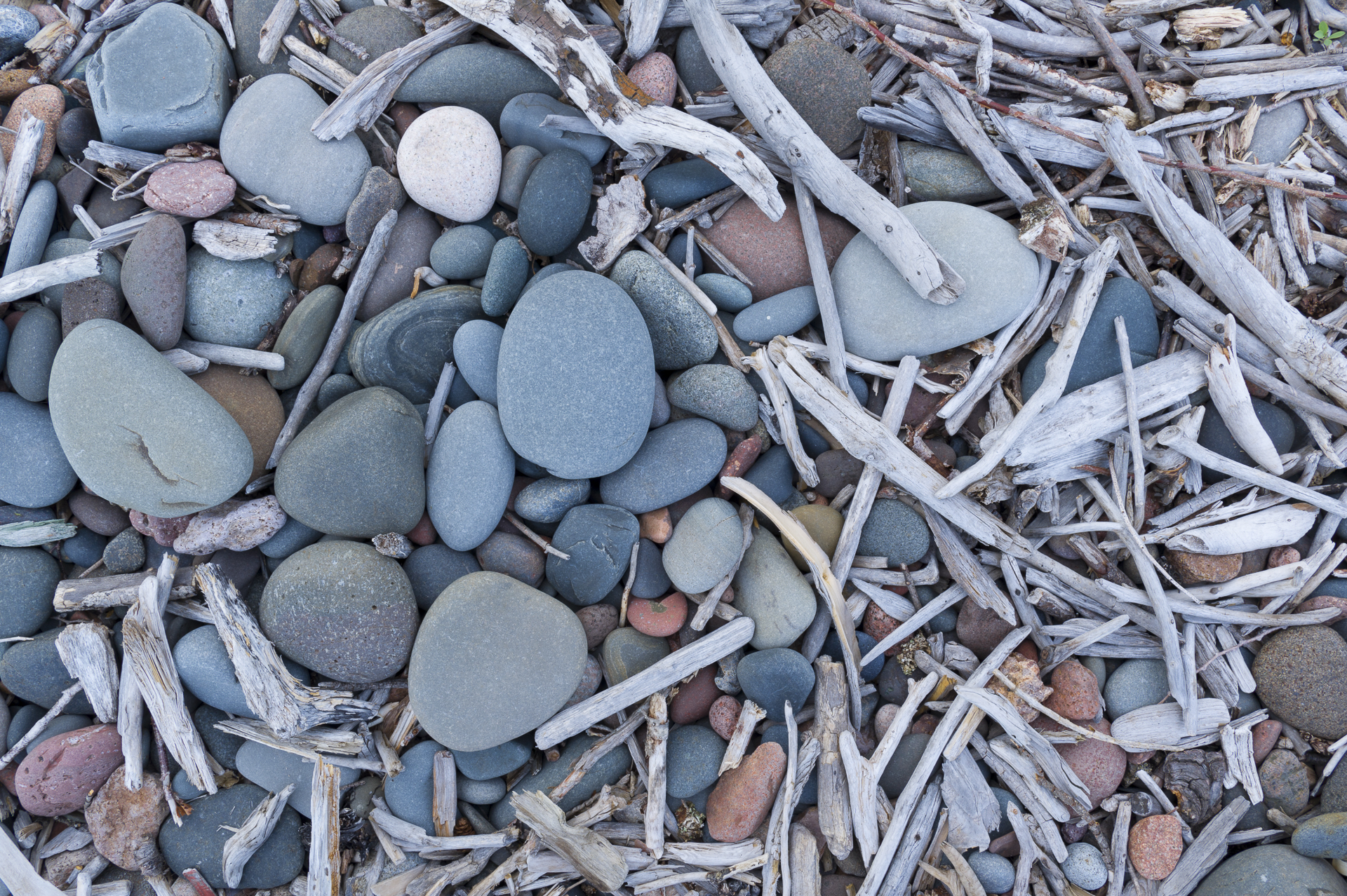 Beach pebbles and driftwood: Cook County, MN