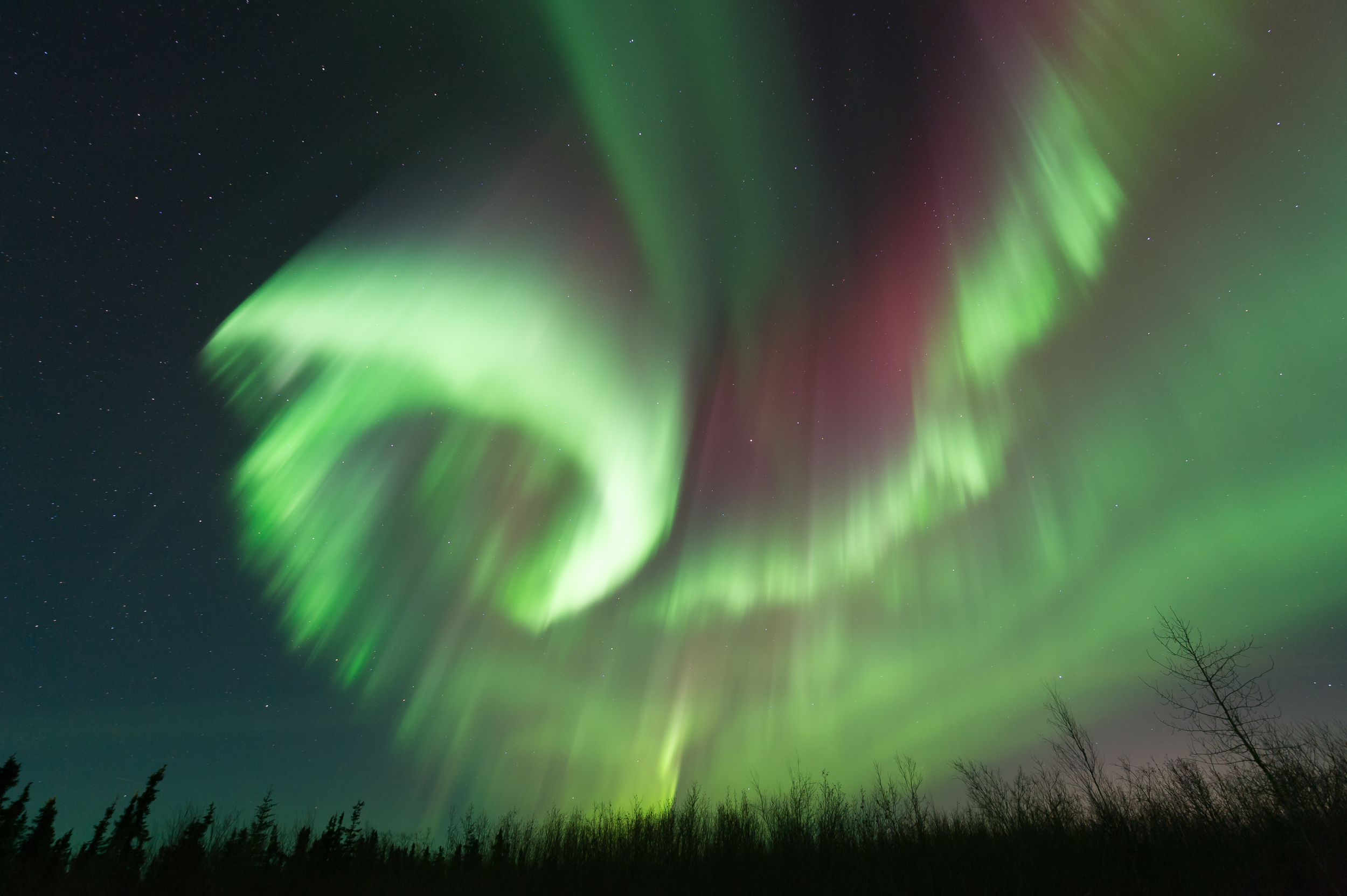 North of Fairbanks, AK. March 11, 2016. 11:09 PM