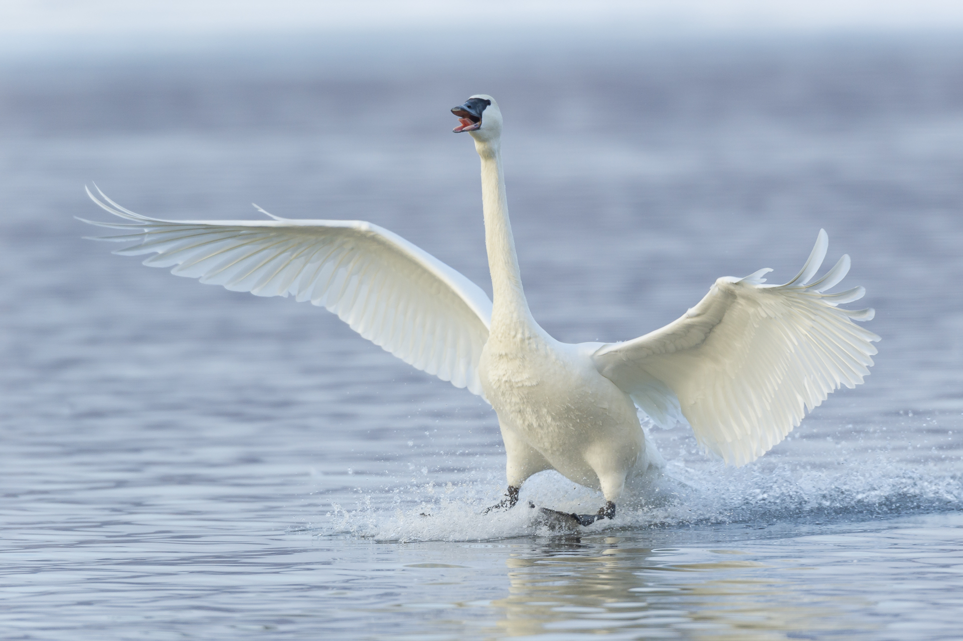 Picture perfect landing