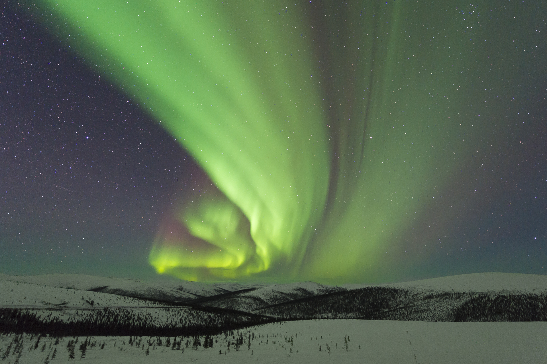 North of Fairbanks, AK. March 9, 2016. 12:05 AM