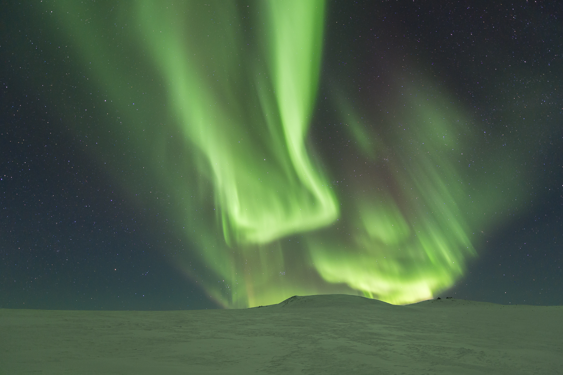 North of Fairbanks, AK. March 9, 2016. 12:44 AM 