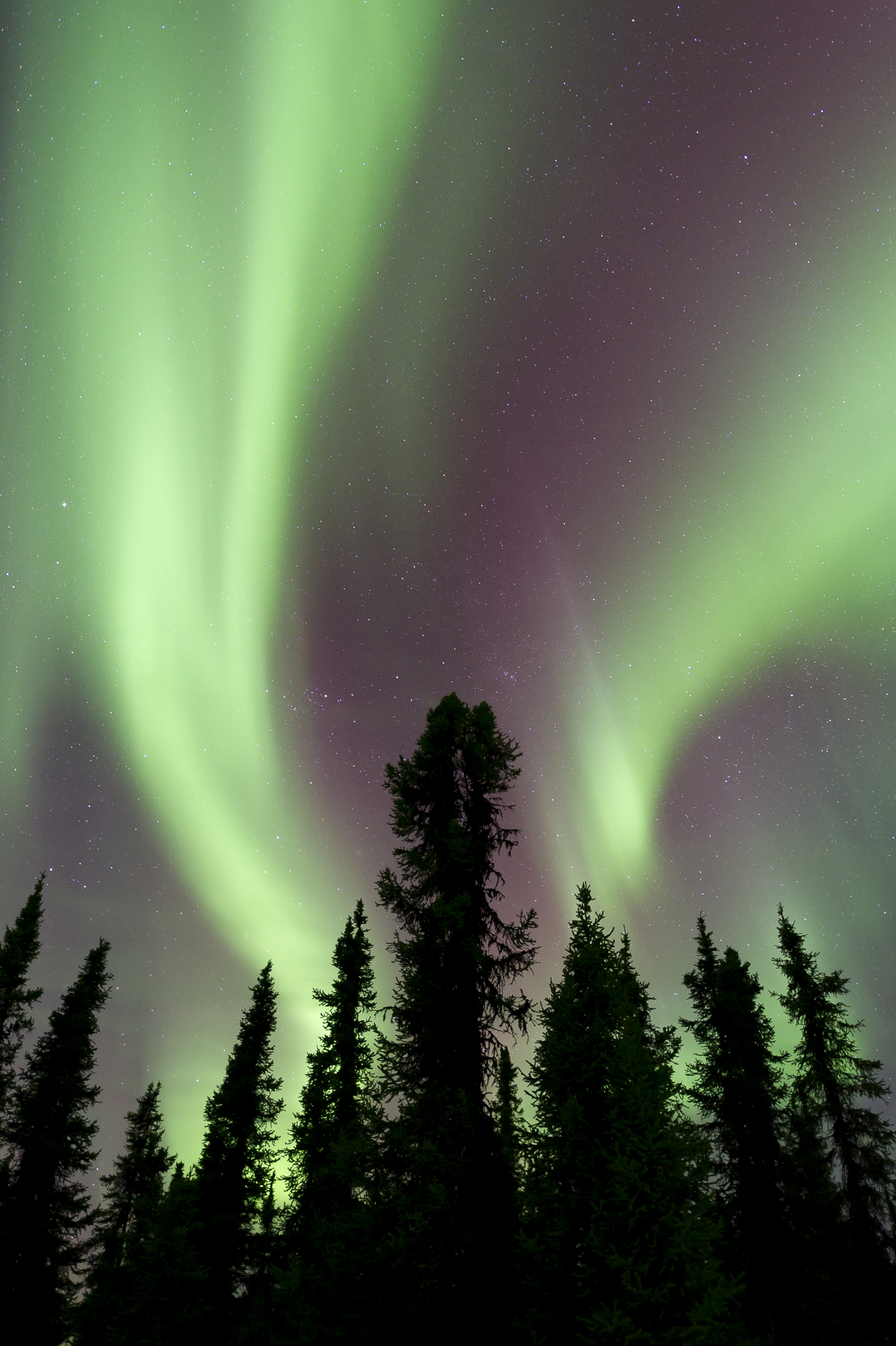 North of Fairbanks, AK. March 11, 2016. 12:00 AM