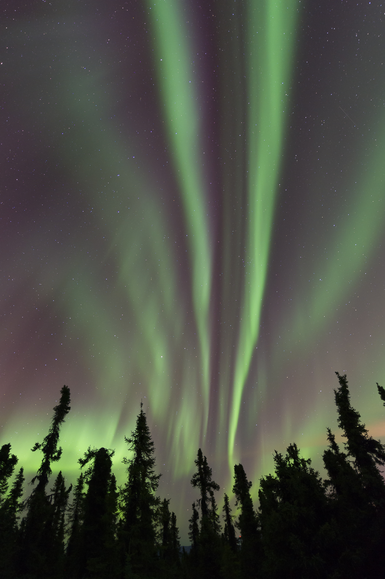 North of Fairbanks, AK. March 10, 2016. 11:47 PM