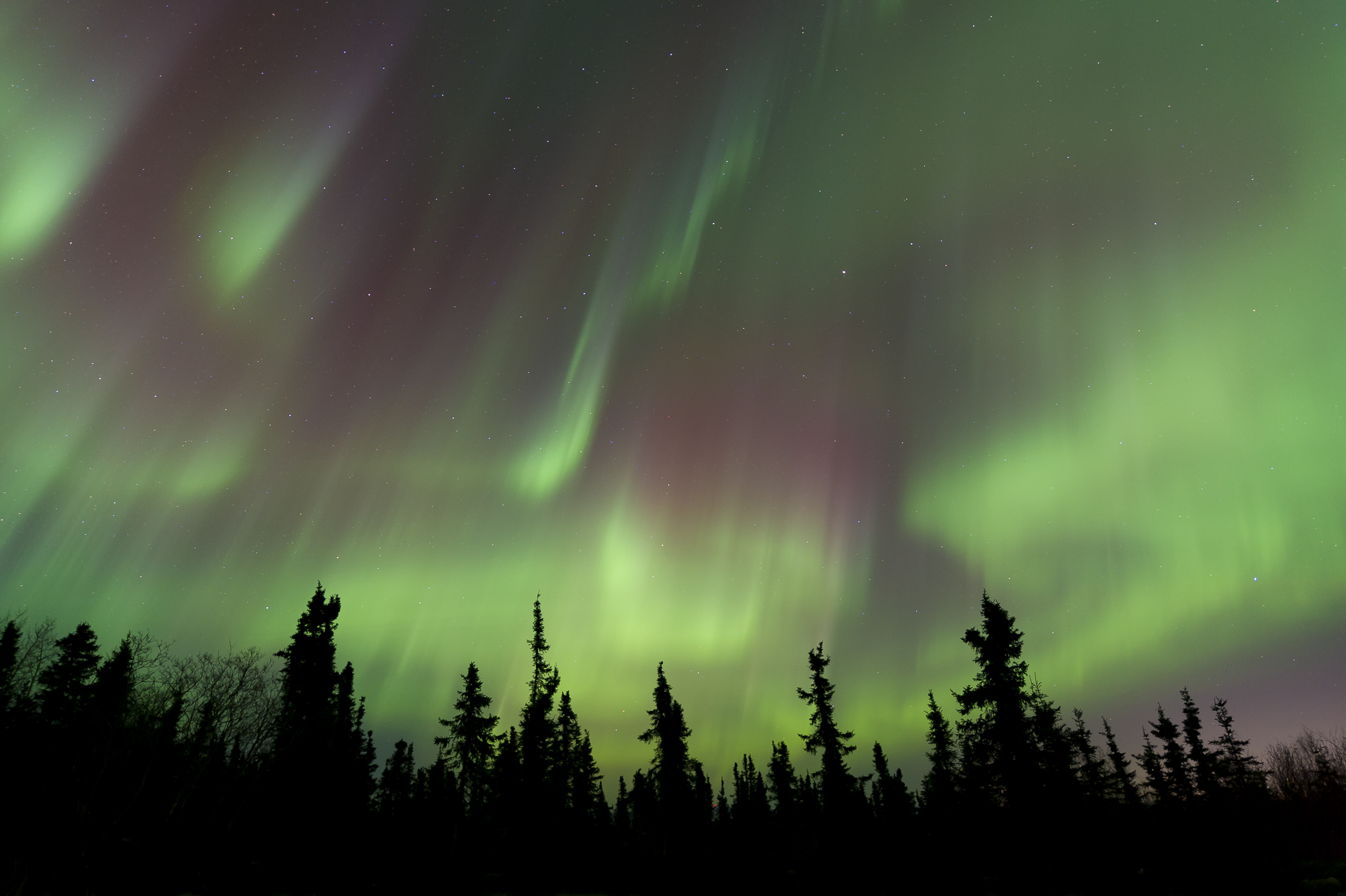 North of Fairbanks, AK. March 11, 2016. 1:25 AM