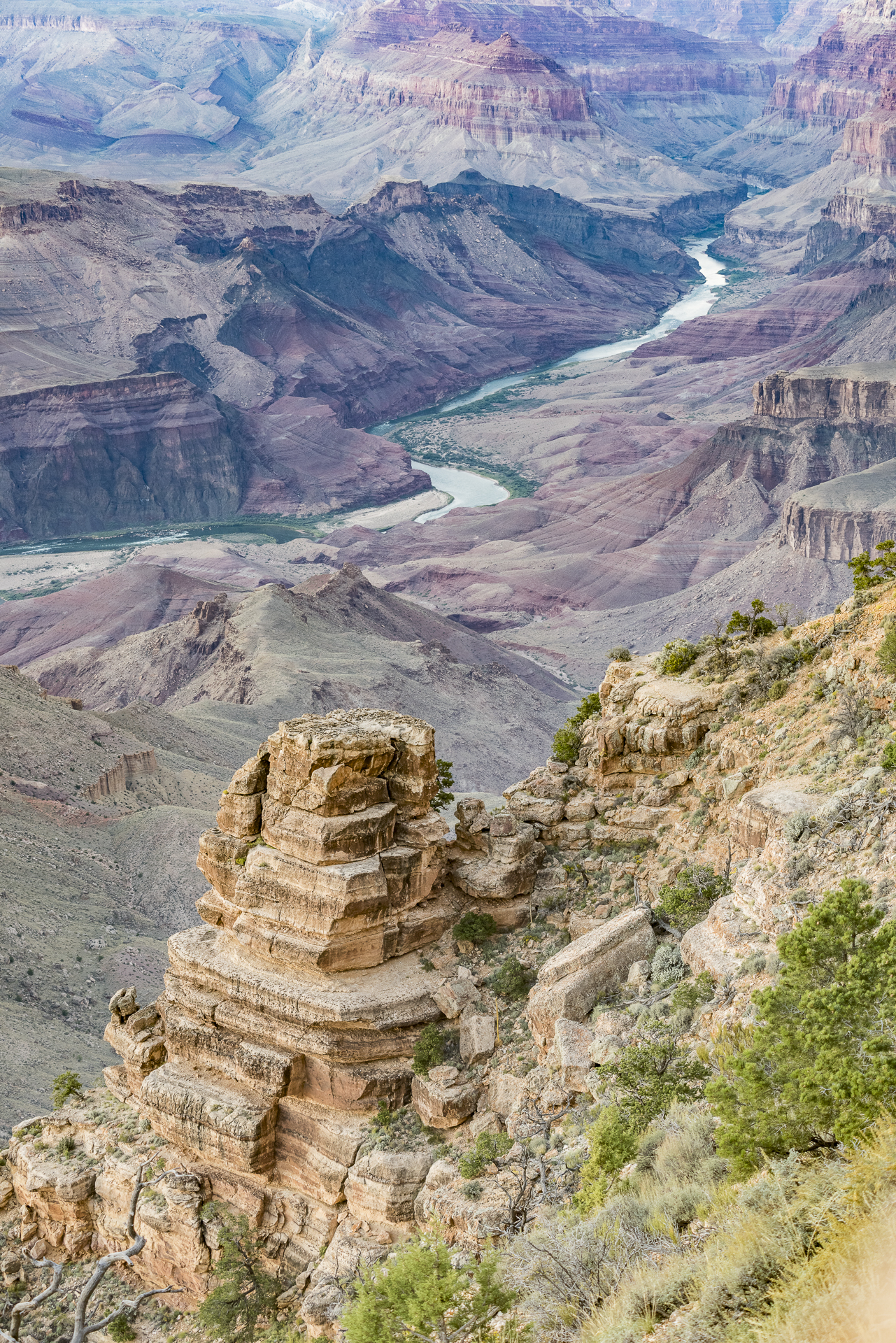 Grand Canyon NP, AZ: Colorado River from Desert View Point