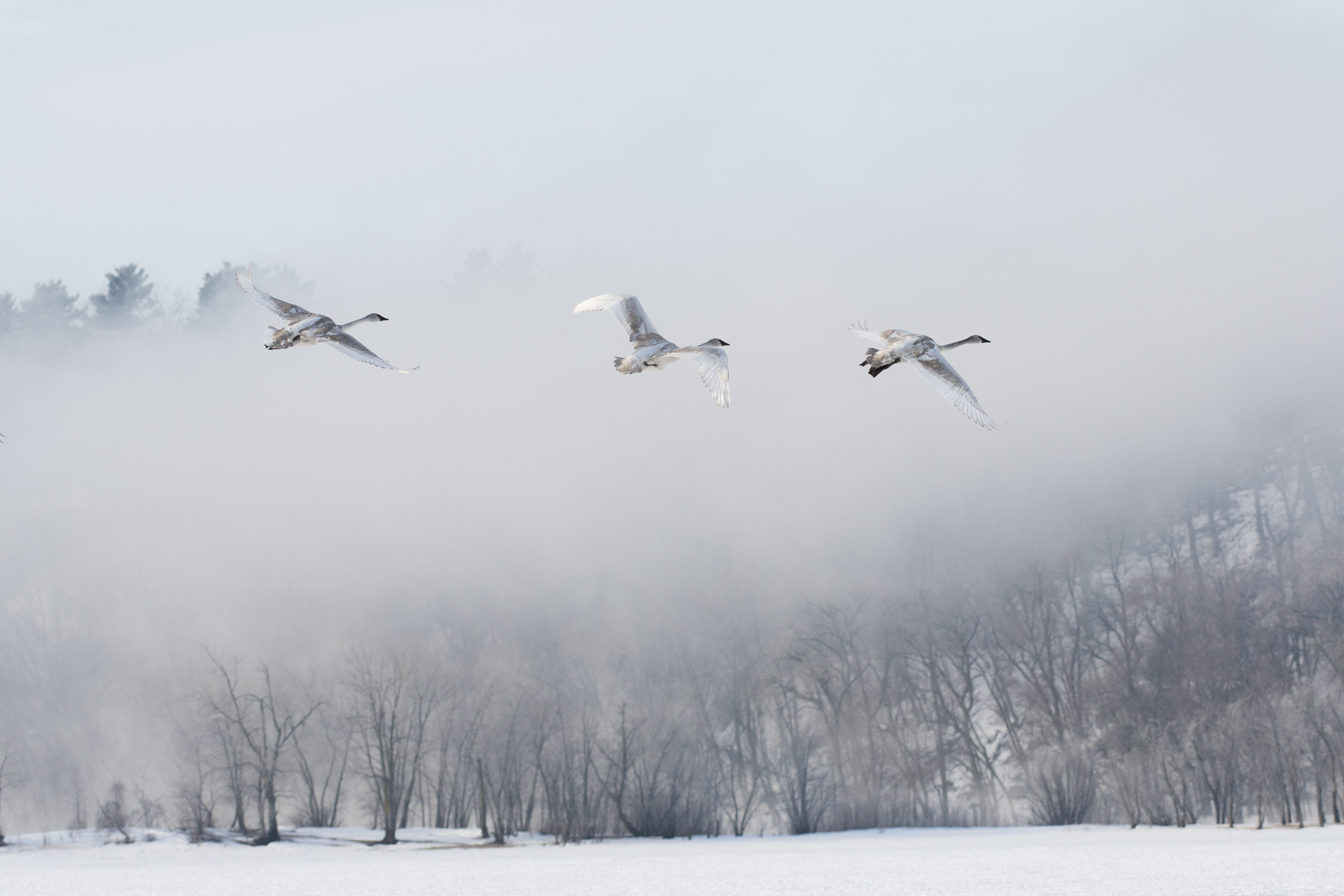 Morning flight over the St. Croix