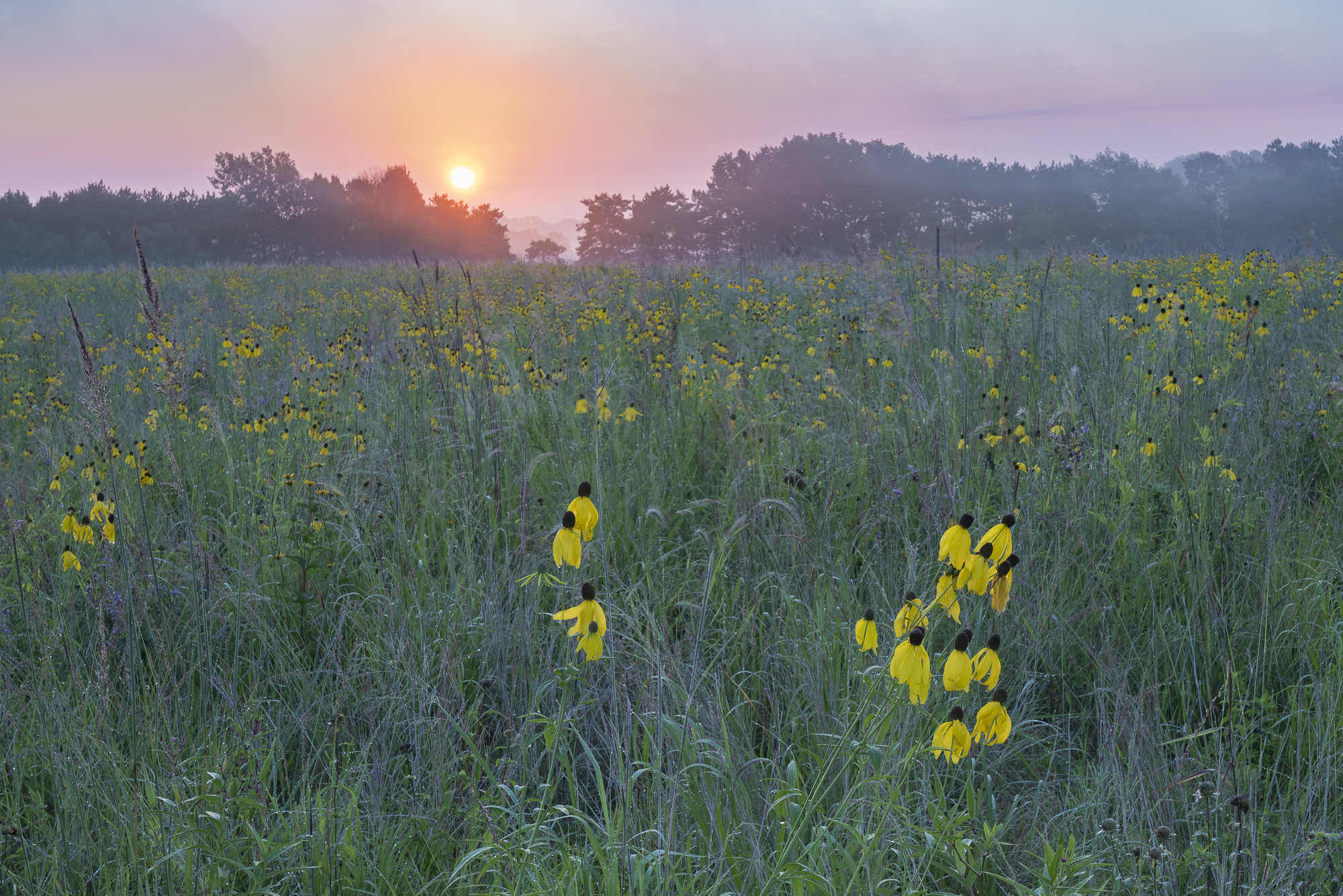 Prairie sunrise