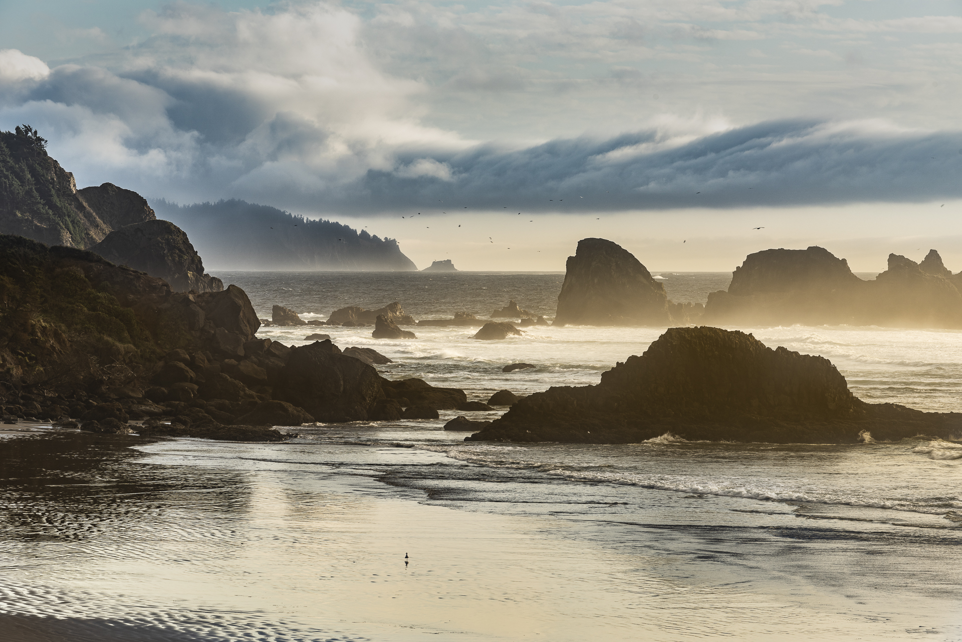 Indian Beach, Ecola State Park