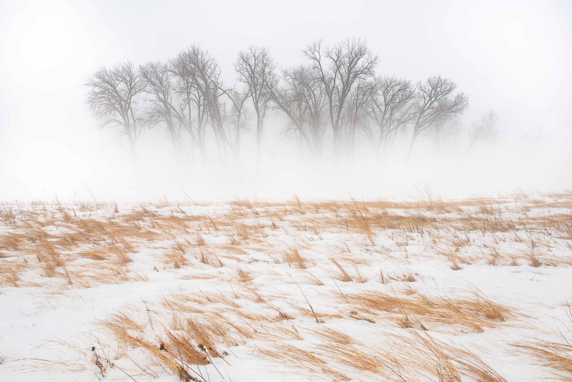 Winter fog