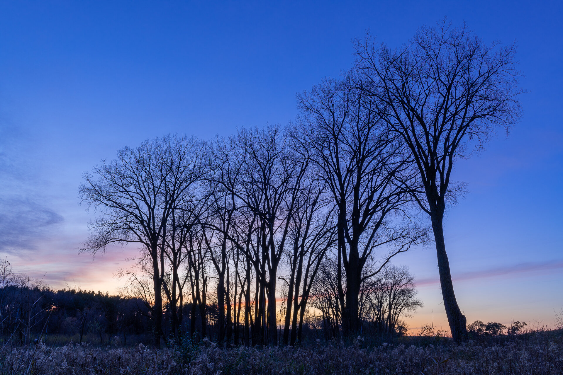 Dusk at Whitetail Woods Regional Park