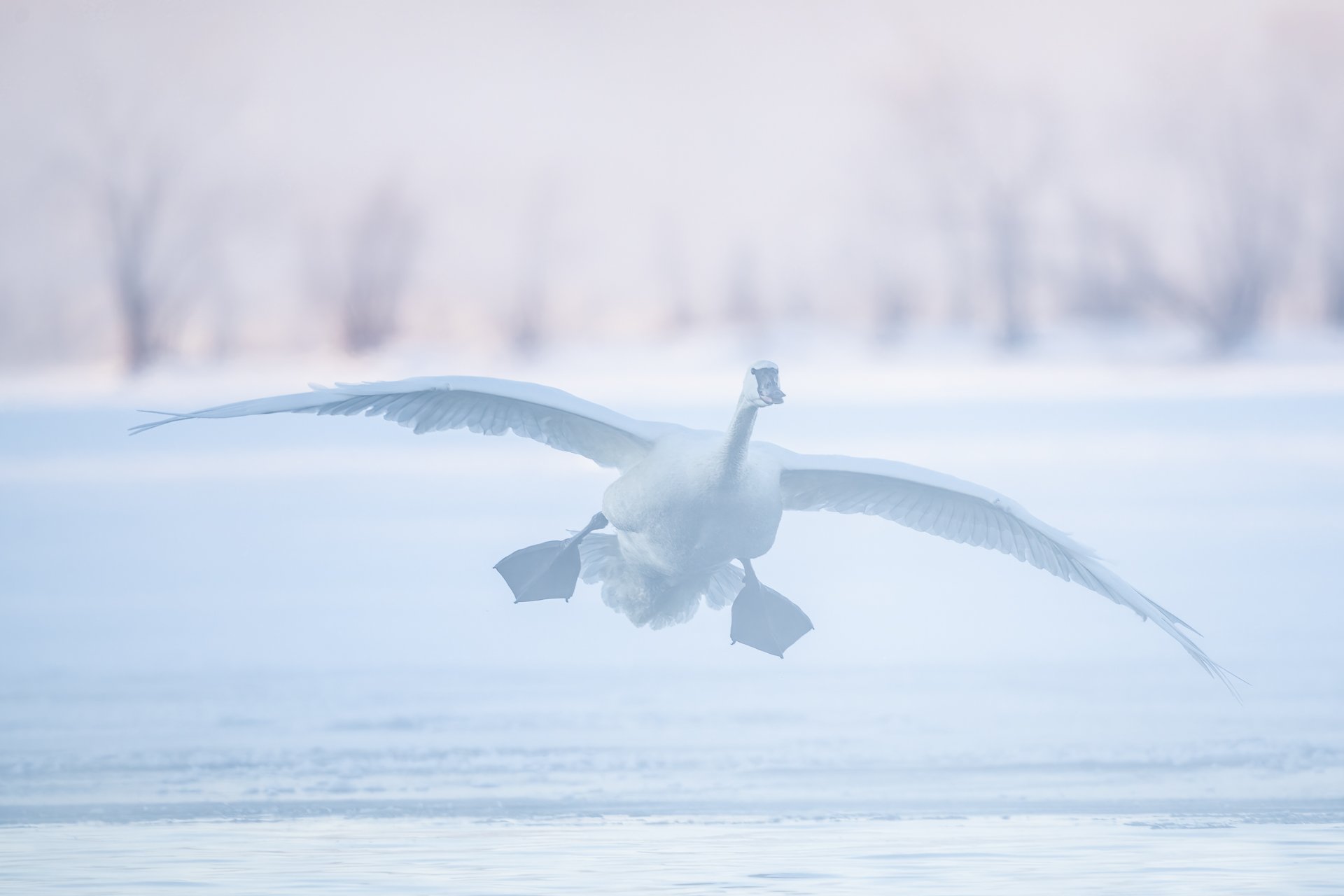 Early morning flight