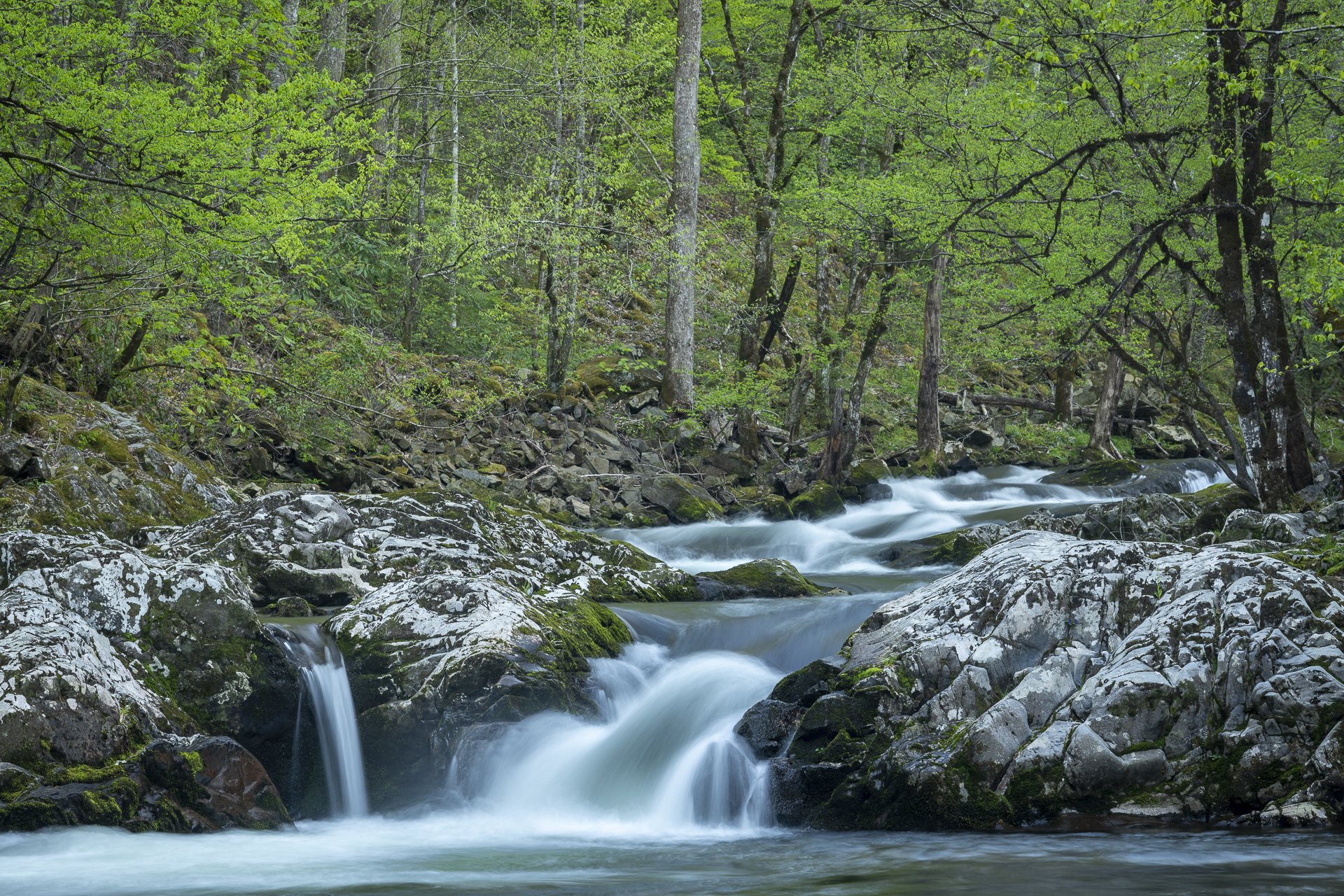 Spring flow