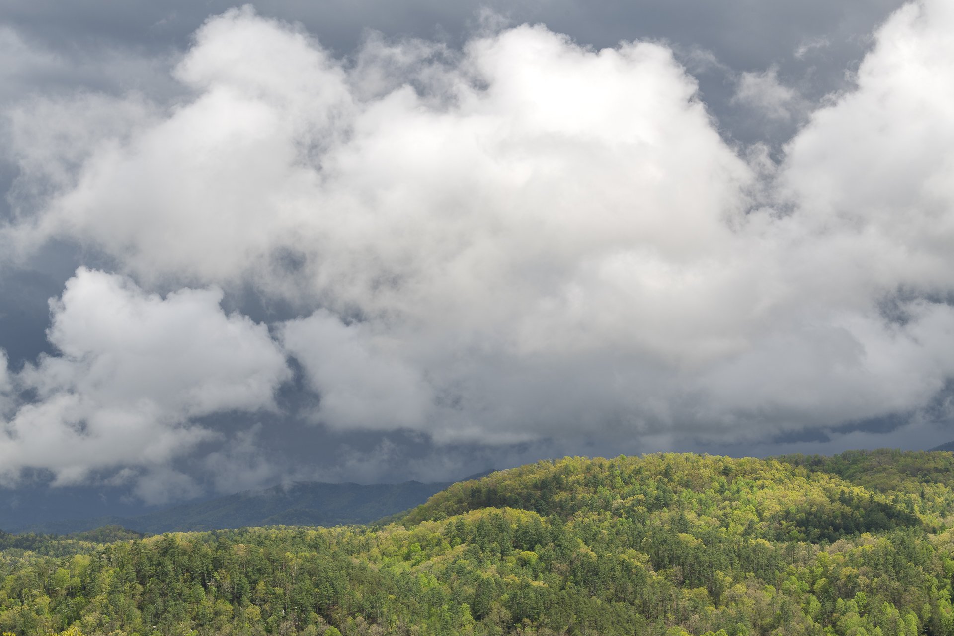 Afternoon rain clouds