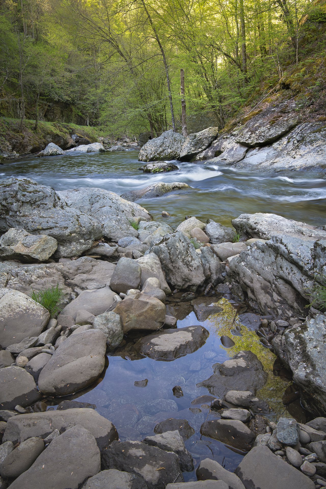 Little River in early morning