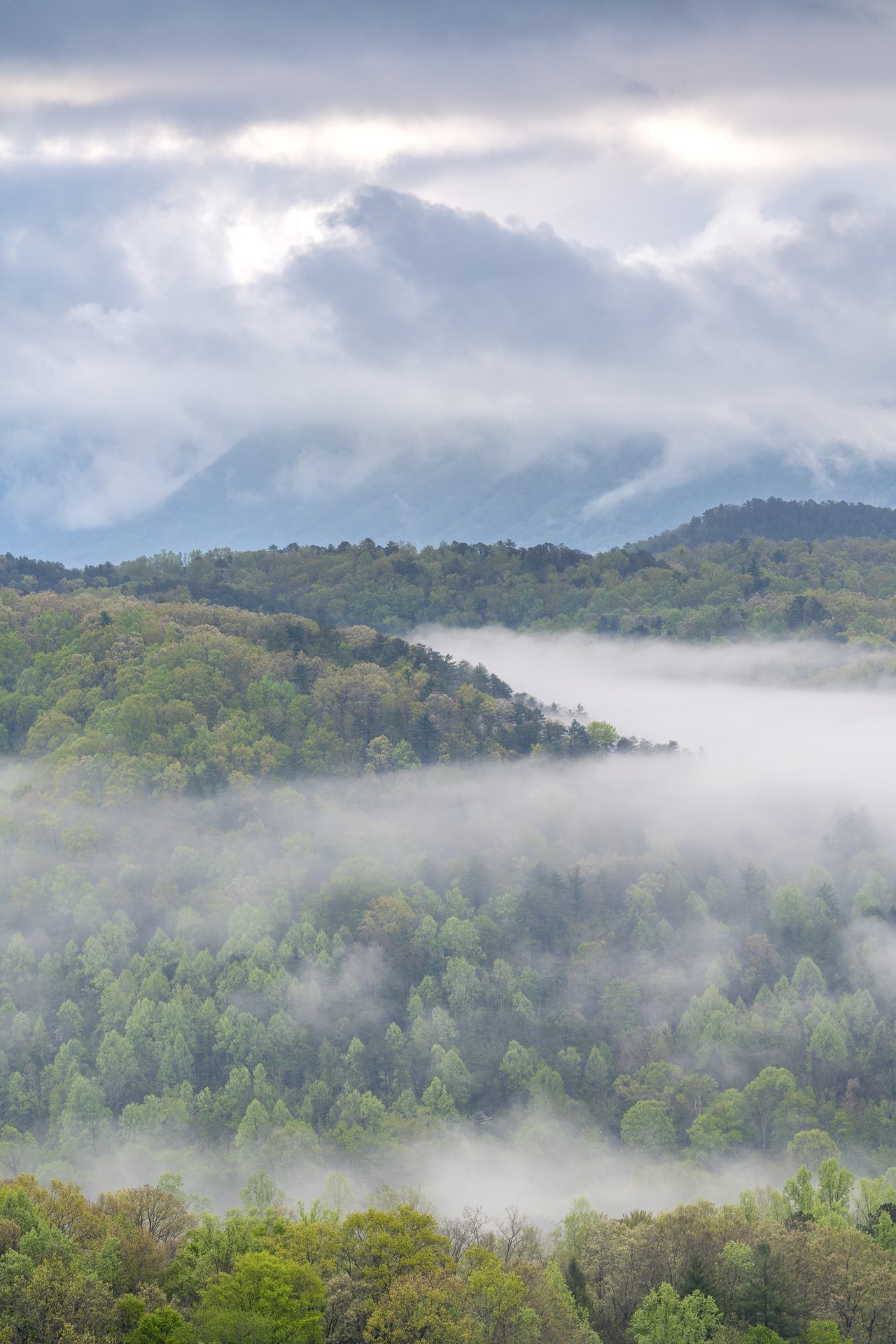 River of fog