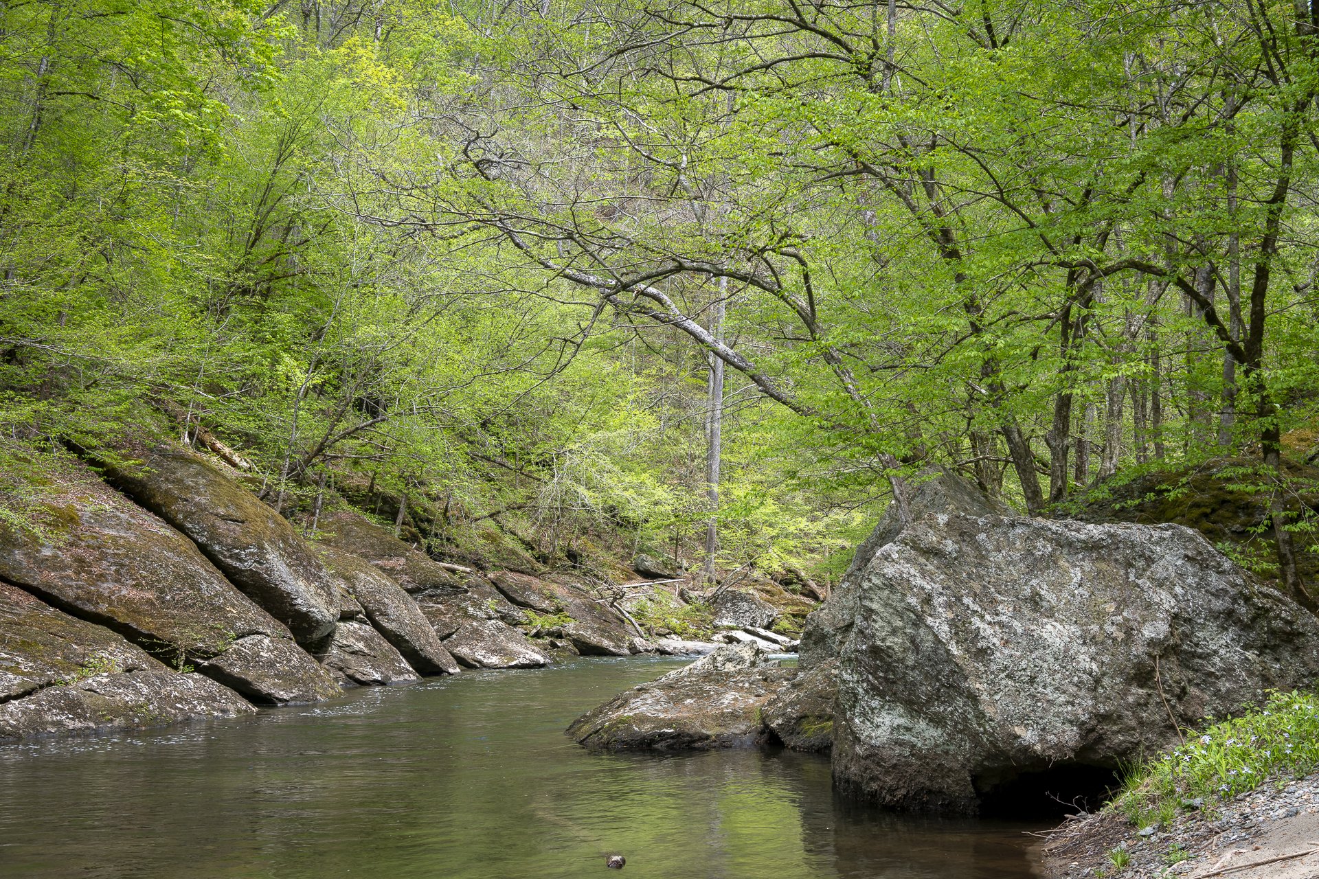 Peaceful stream