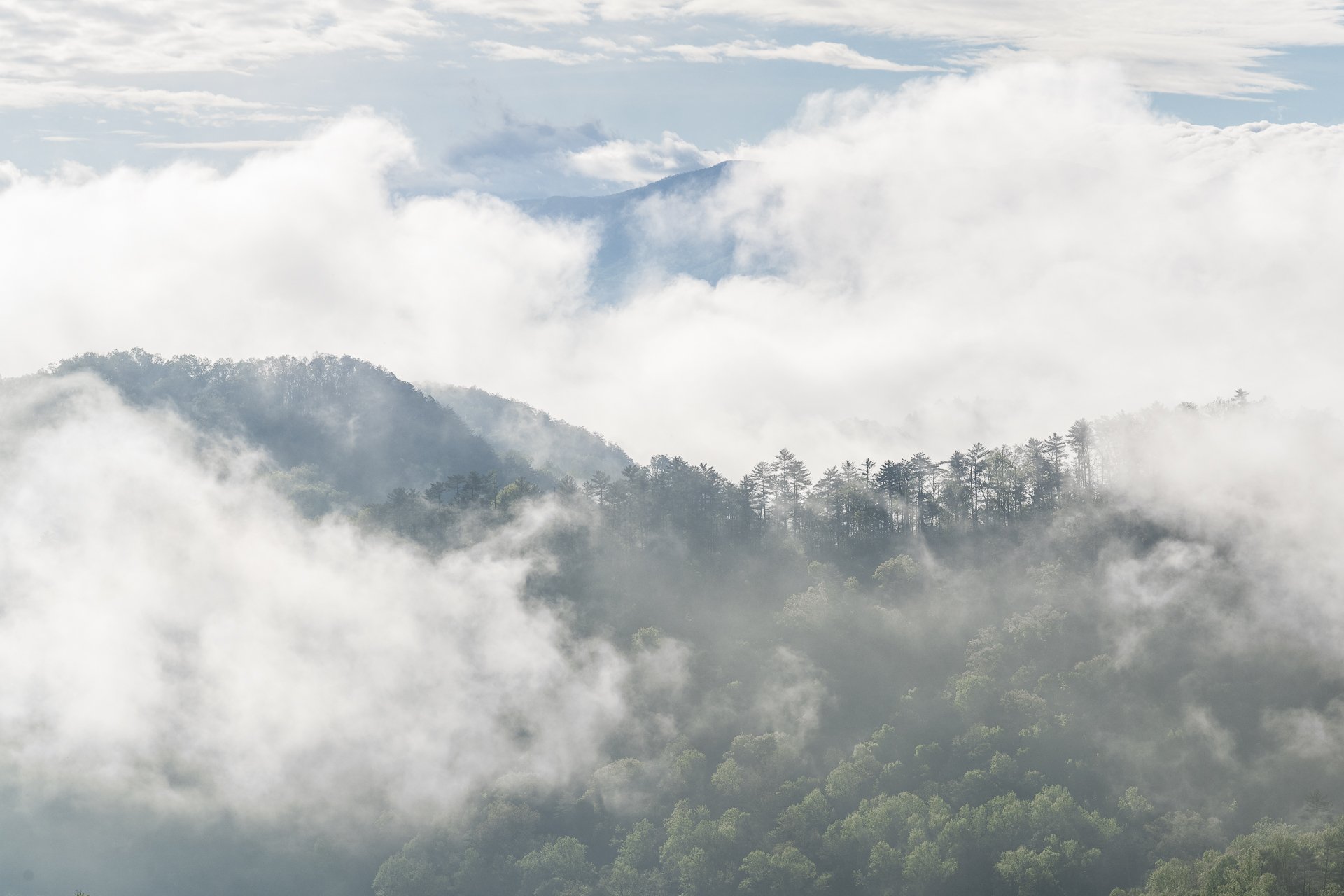 That's why they call them the Smokies