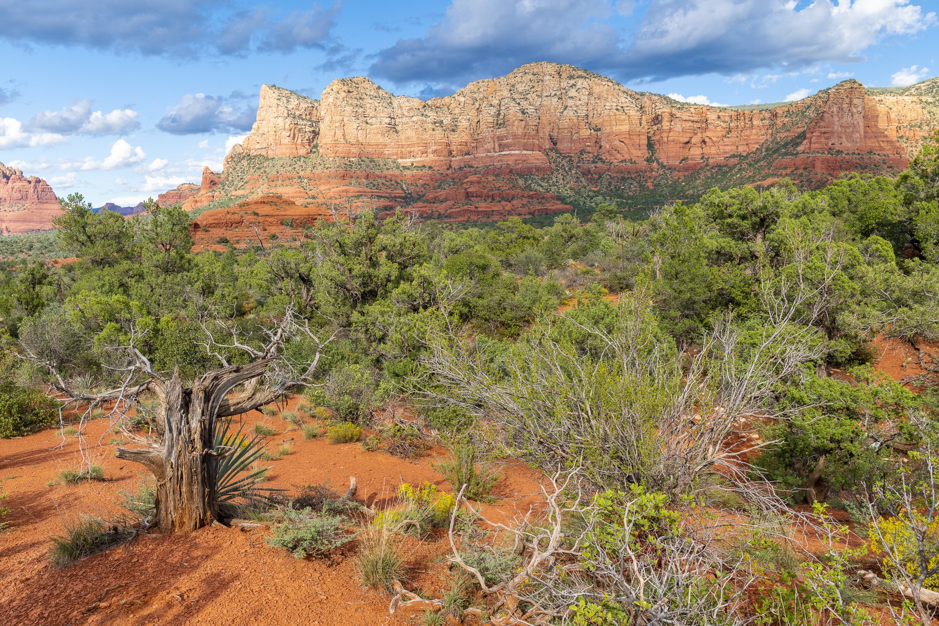 Red Rock Country